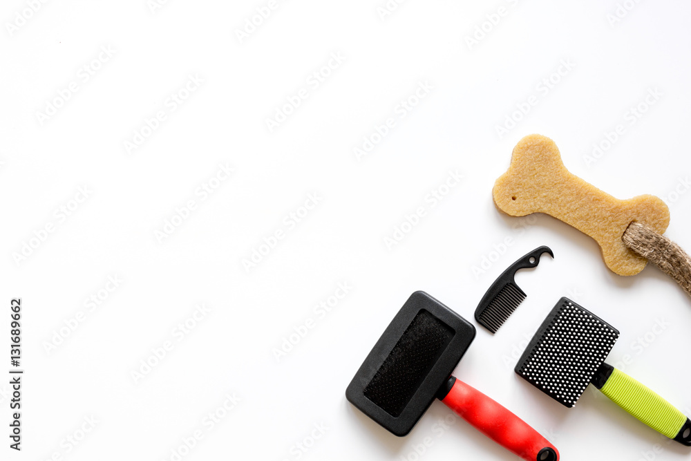 concept pet care and training on white background top view