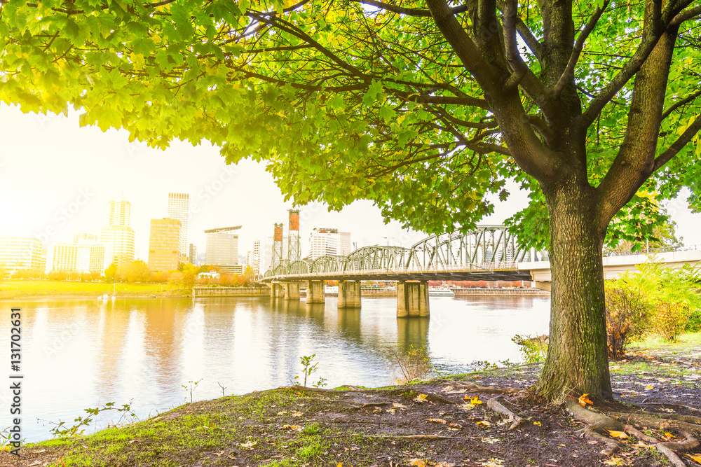 cityscape and skyline of portland