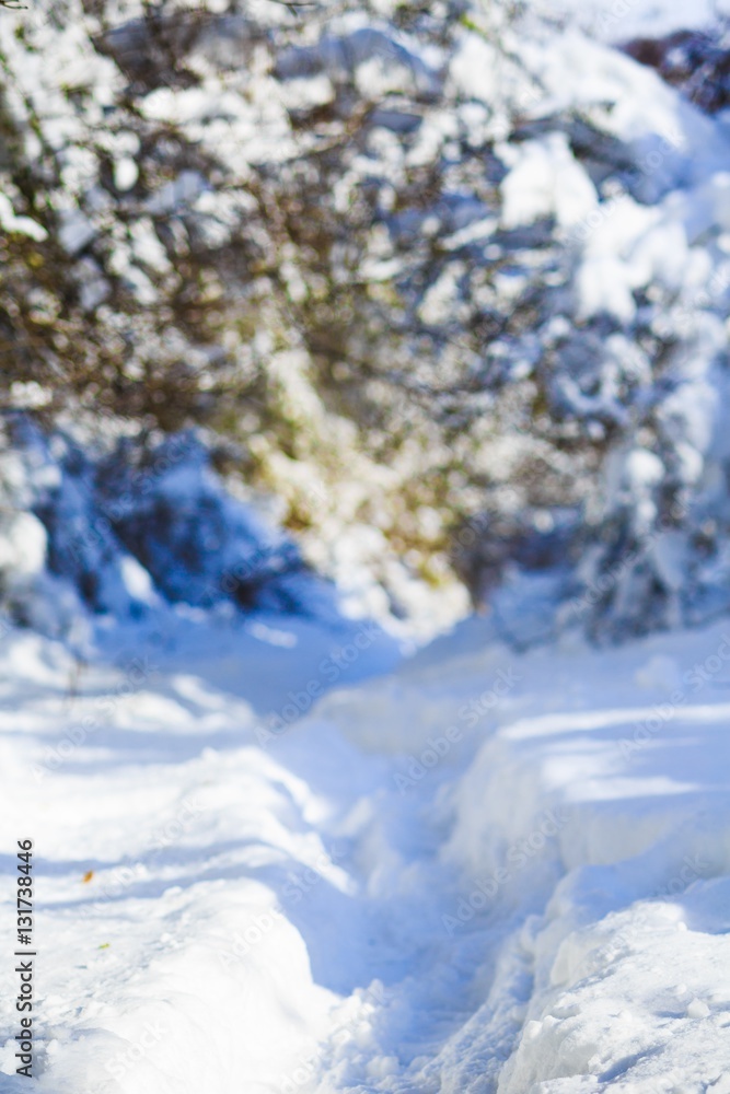 Winter landscape.