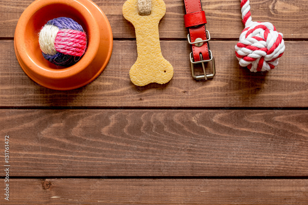 concept pet care and training on wooden background top view