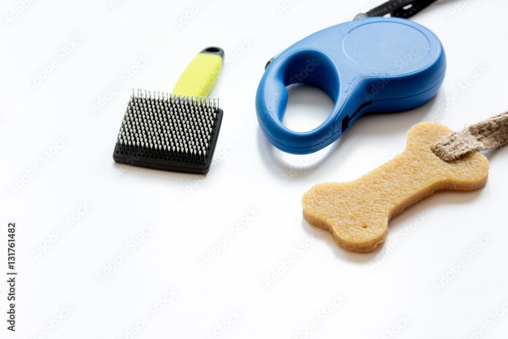 concept pet care and grooming on white background