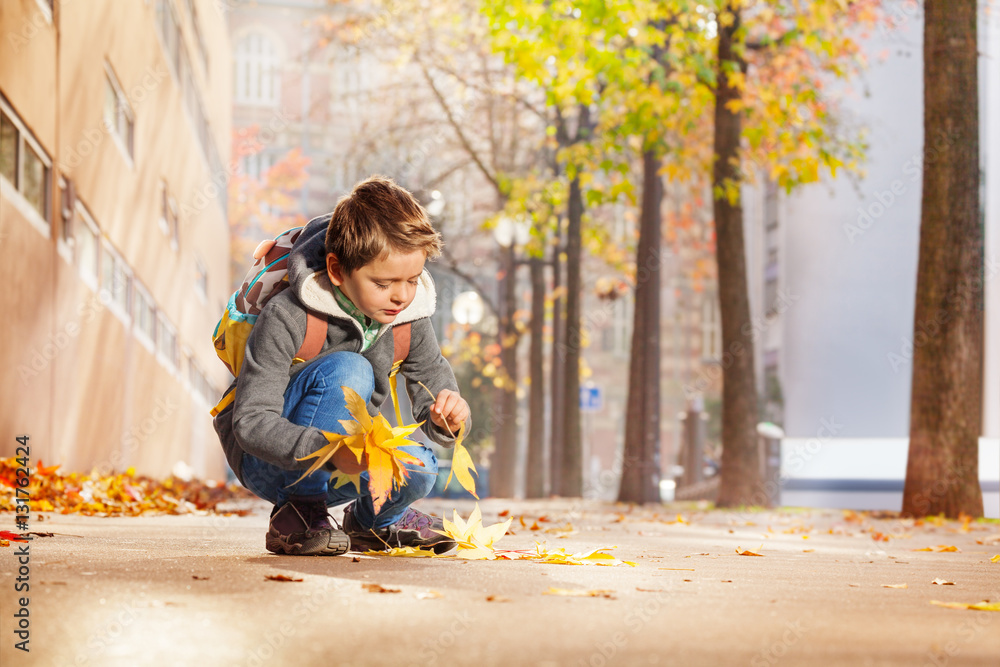 Happy schoolboy collecting yellow autumn leaves