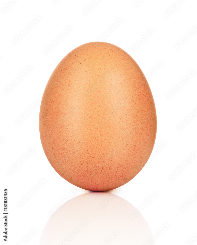  chicken egg close-up isolated on white background