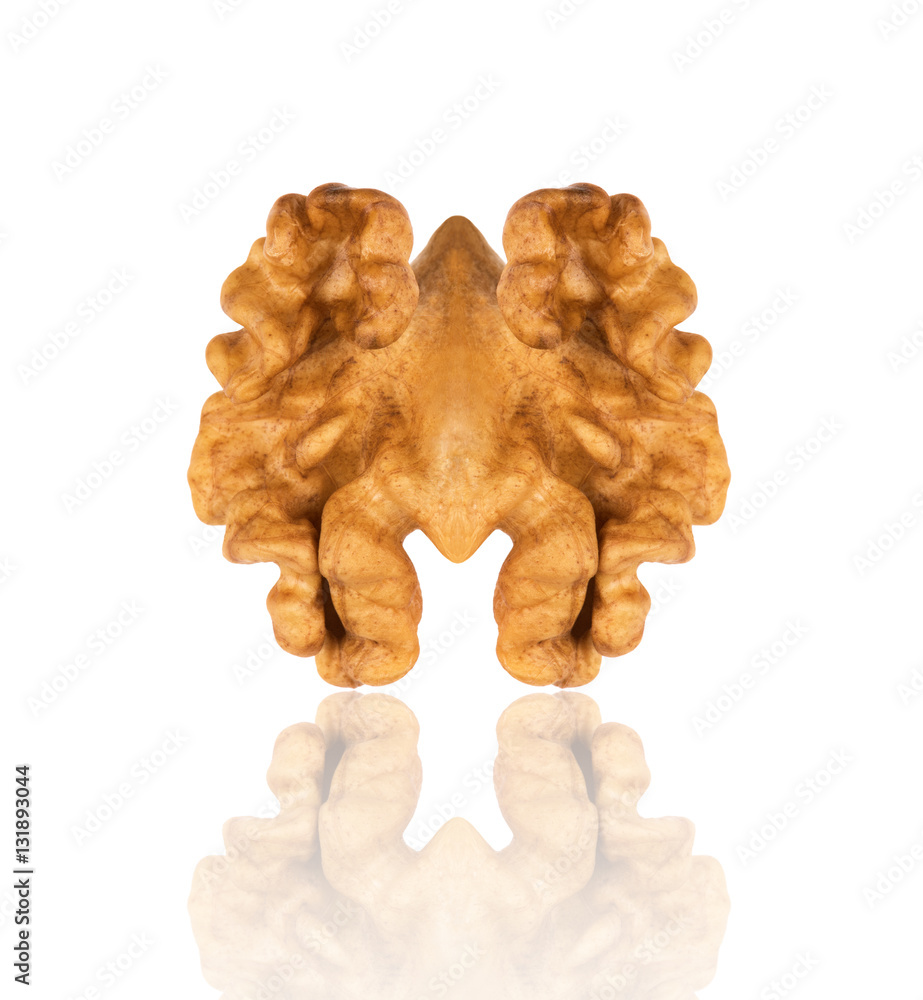 Kernel walnut with reflection close-up isolated on white backgro