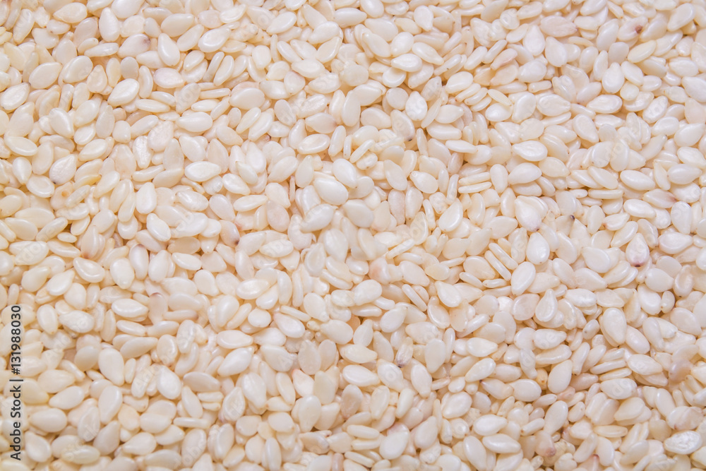 White sesames seed background and textured