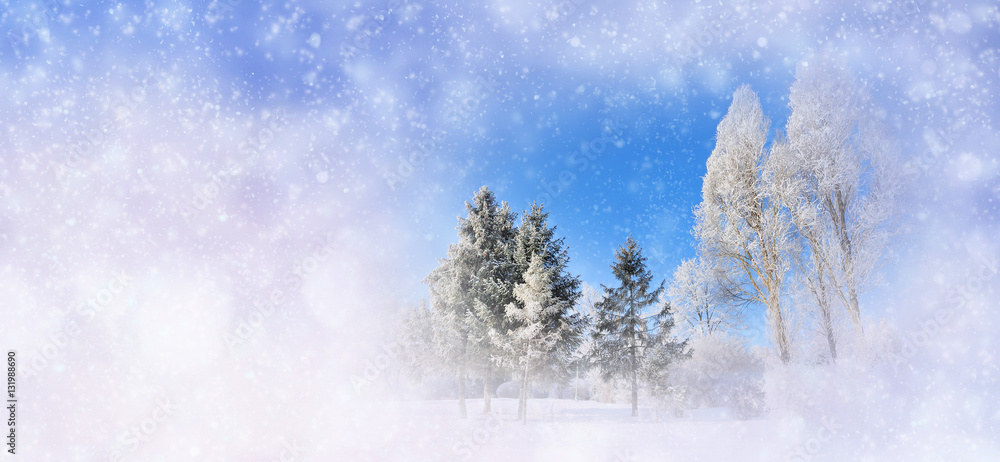 Winter background with snowy trees and snowflakes