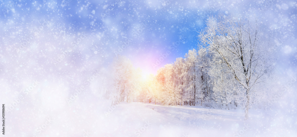 Winter background with snowy trees and snowflakes