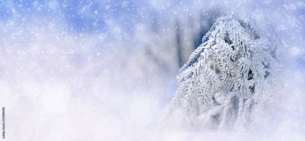 Winter background with snowy trees and snowflakes