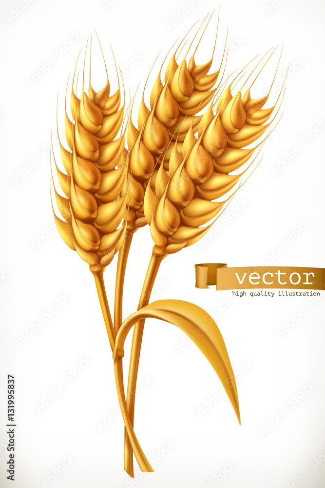 Ear of wheat. 3d vector icon