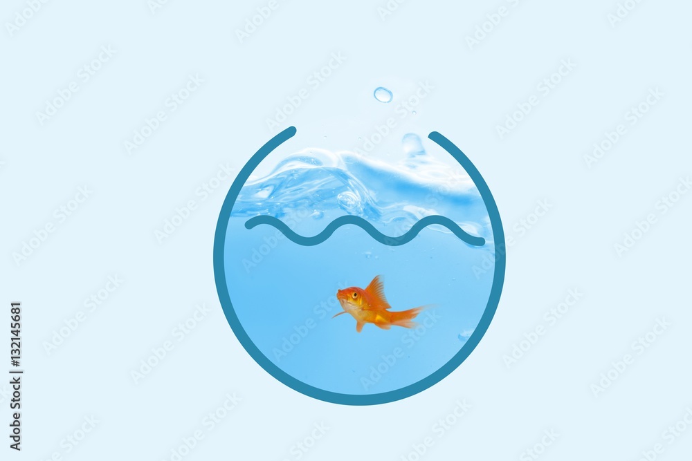 Composite image of goldfish against white background