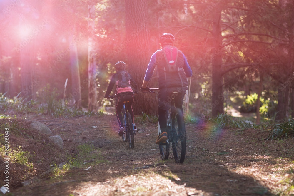 Rear view of biker couple cycling in countryside