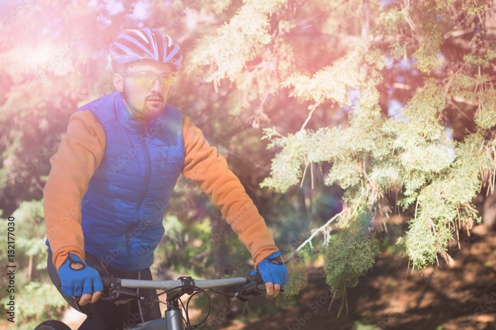 Male mountain biker riding bicycle in forest