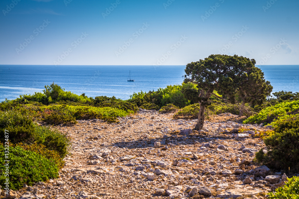 Mallorca - Spain