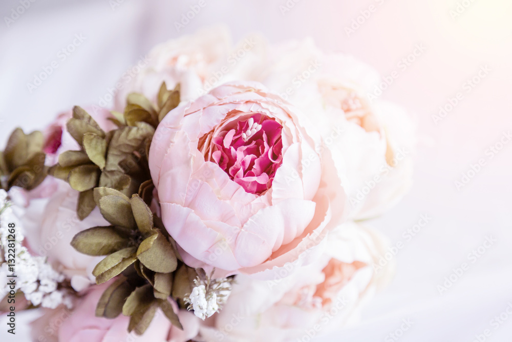 Pink roses on the bokeh background, Roses on the pink background