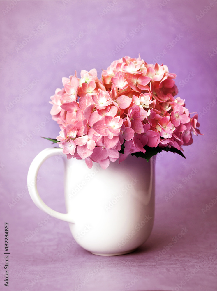 the sweet  hydrangea flowers in white vase