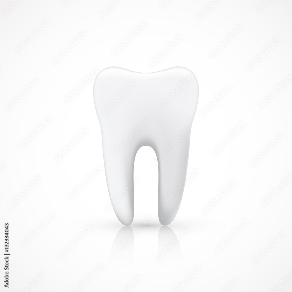 Healthy Tooth Isolated on White, vector illustration