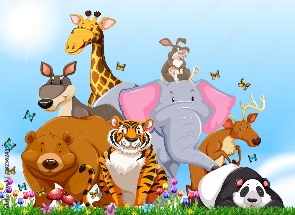 Many types of wild animals in the field