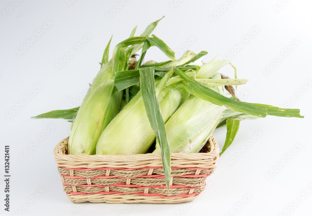 Corn on white background