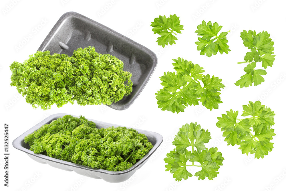 Parsley on white