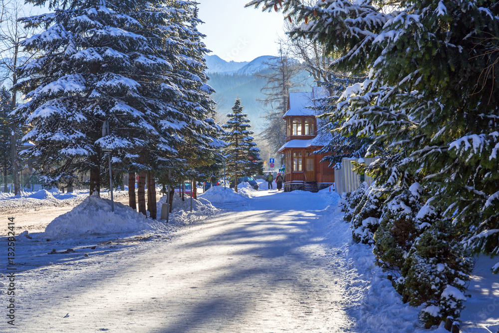 Zakopane in Tatra mountains at winter time, Poland