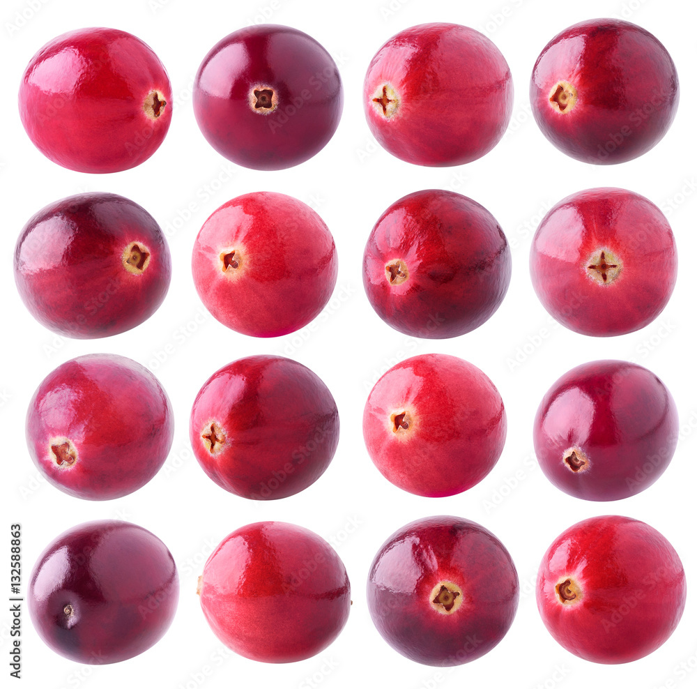 Isolated cranberry collection. 16 fresh cranberry fruits of various colors isolated on white backgro