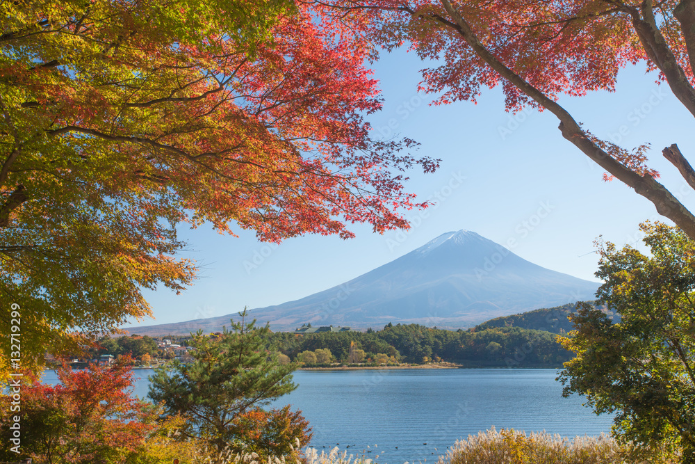 秋季河谷湖的秋树和富士山