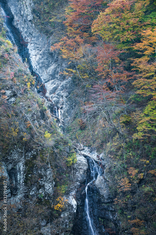 Small waterfall and autumn tree forest at high mountain