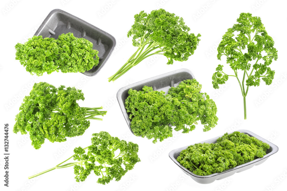 Parsley on white