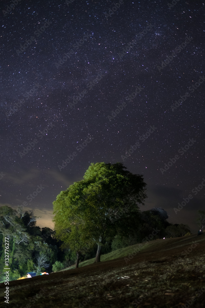 独自一棵树，有星空，夜空