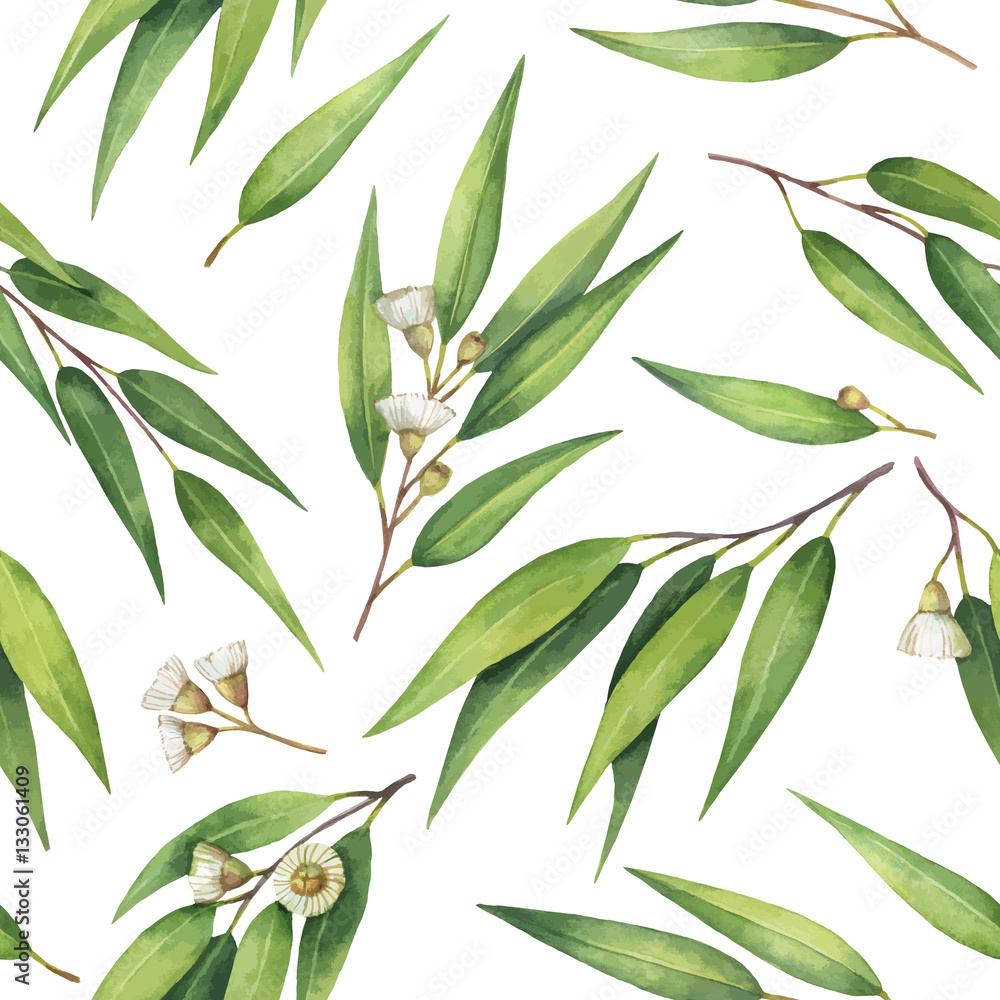 Watercolor vector seamless pattern with eucalyptus leaves and branches.