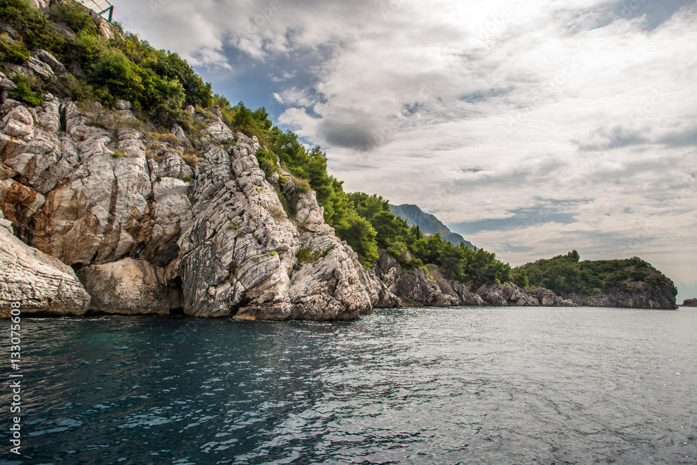 pine trees and rocks on the shore of the Adriatic Sea 