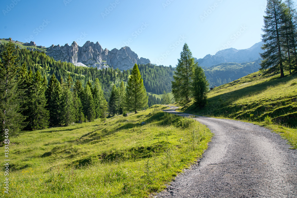 Austrian mountain landscape in the province of Salzburg, Austria