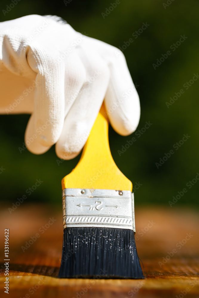 Painter painting wooden surface, protecting wood