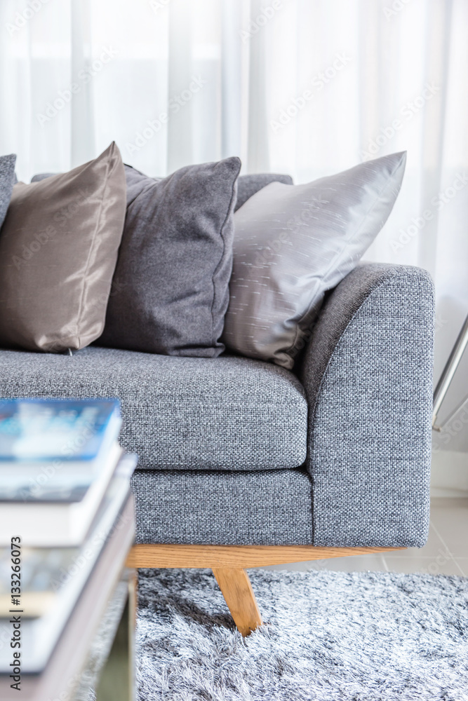 contemporary interior of Living room with part of sofa in sunny