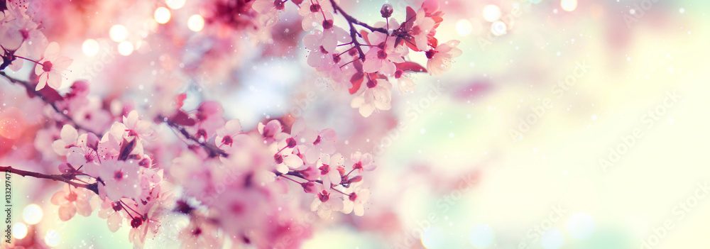 Spring border or background art with pink blossom. Beautiful nature scene with blooming tree and sun