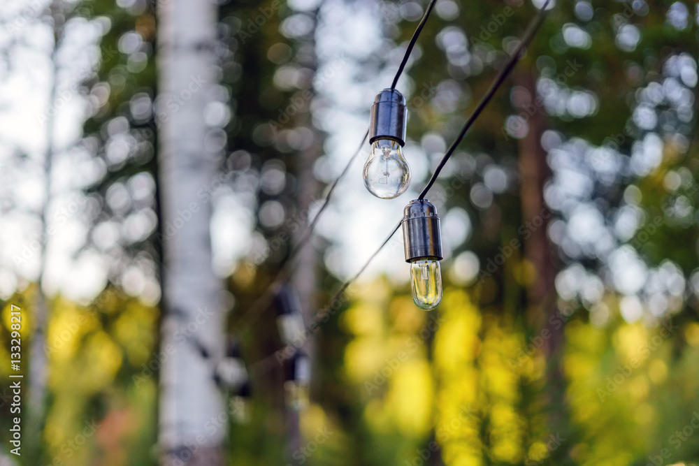 Light bulbs hanging on a wire in the forest.