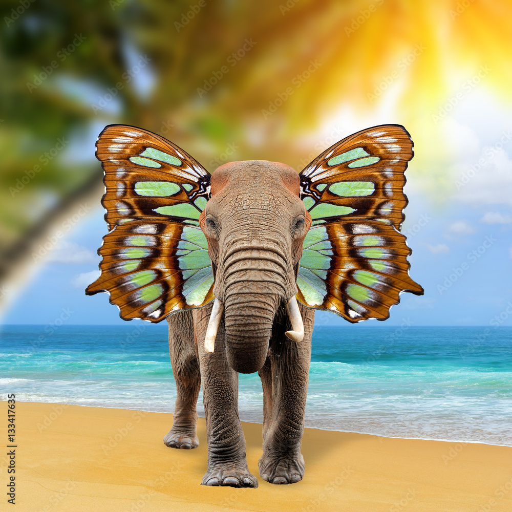 Elephant with butterfly wings