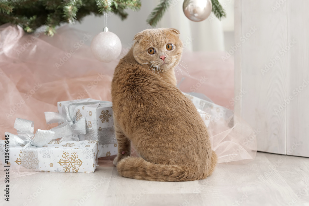 Cat with christmas tree and gift