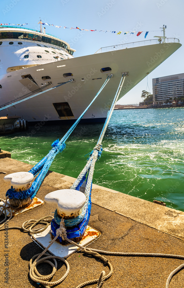 Cruise Ship moored in Sydney Harbour, Australia