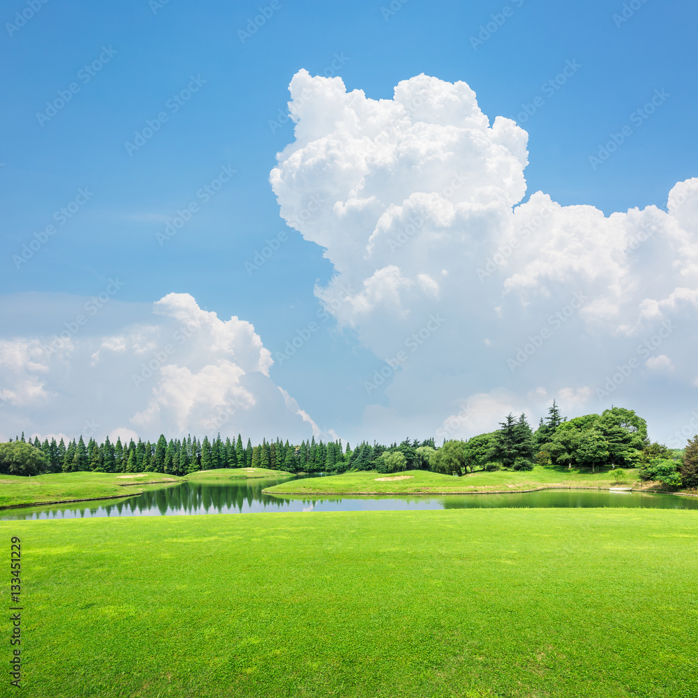 field of green grass and blue sky in summer day