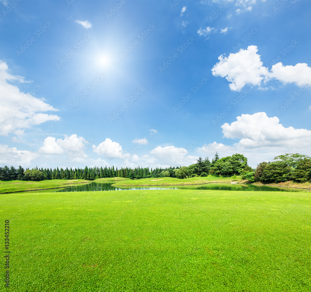 夏日绿草蓝天