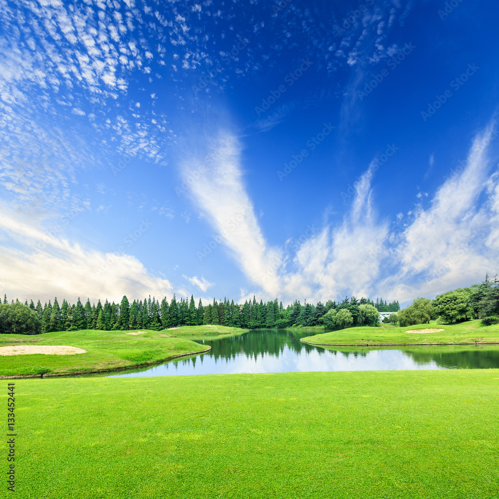 field of green grass and blue sky in summer day