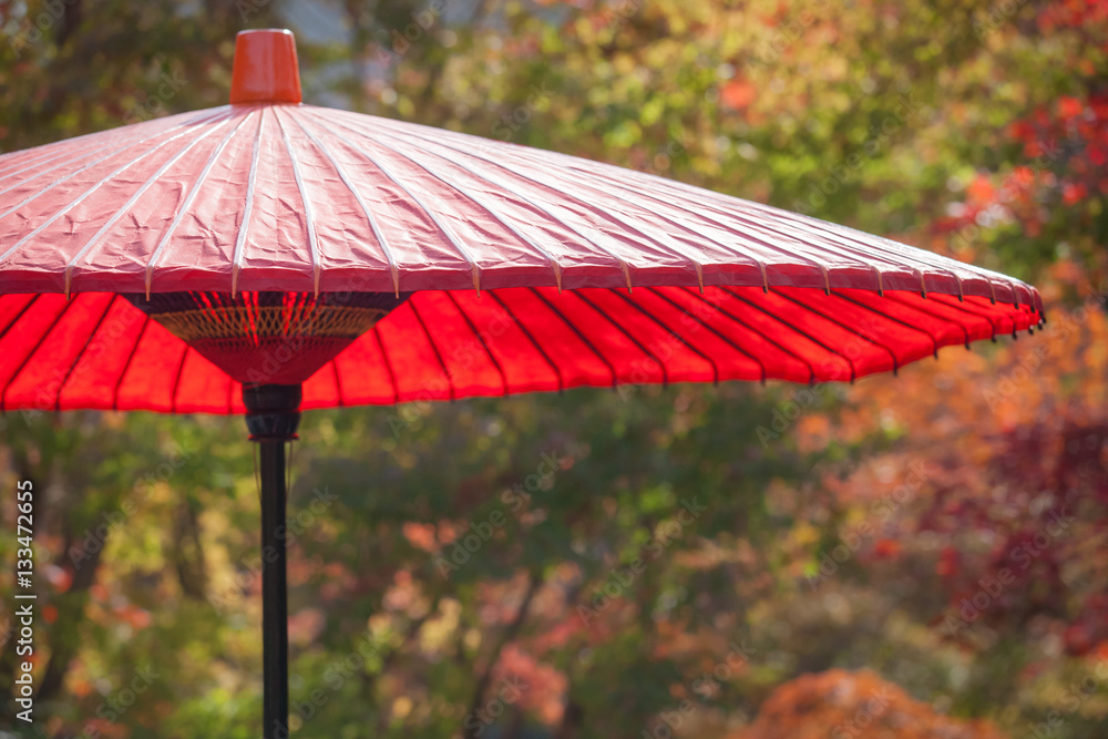 Japanese red umbrella at Japanese garden in autumn season