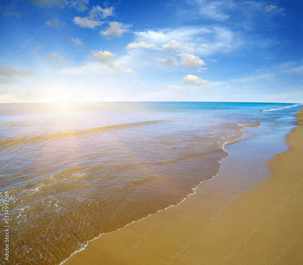 beach and sea