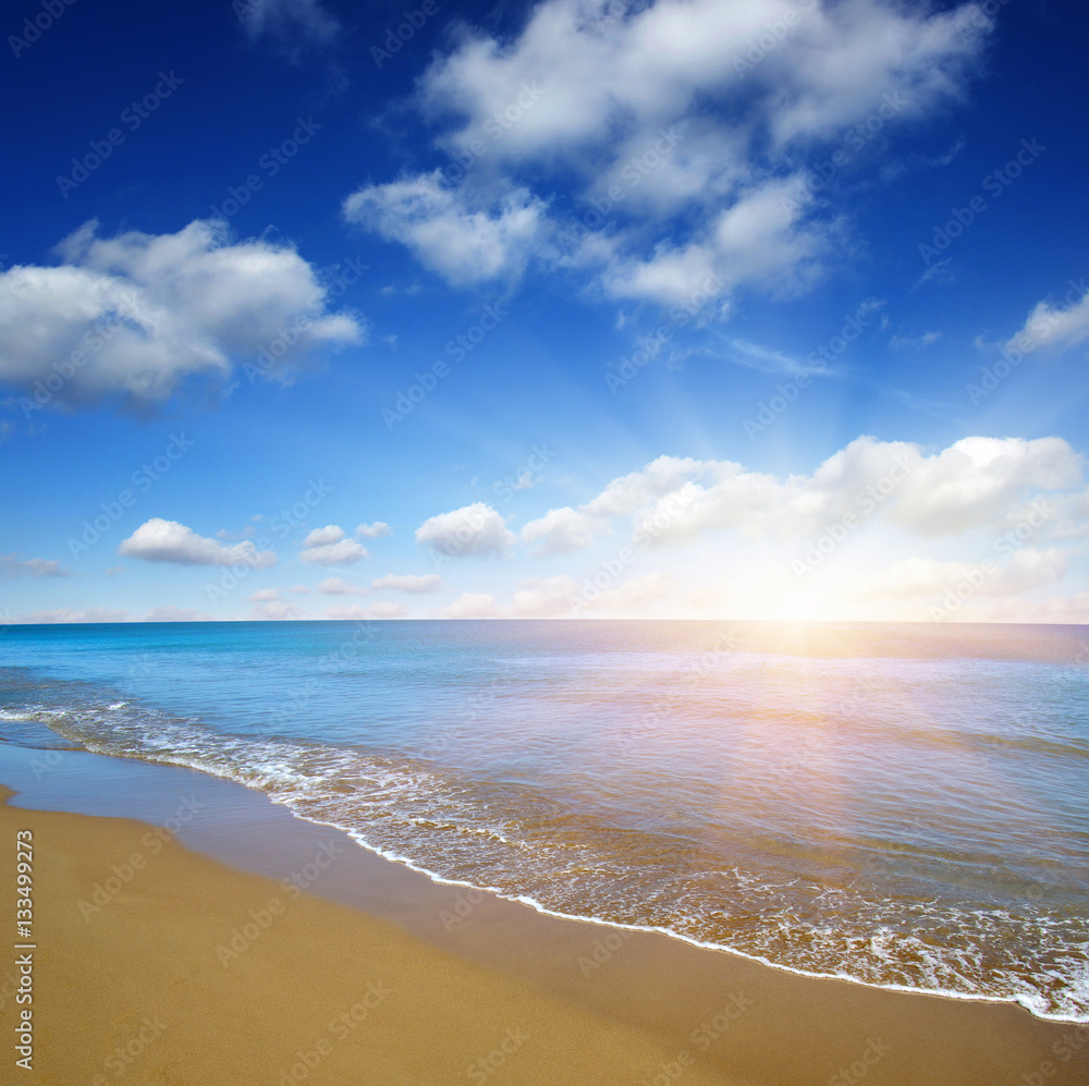 beach and sea