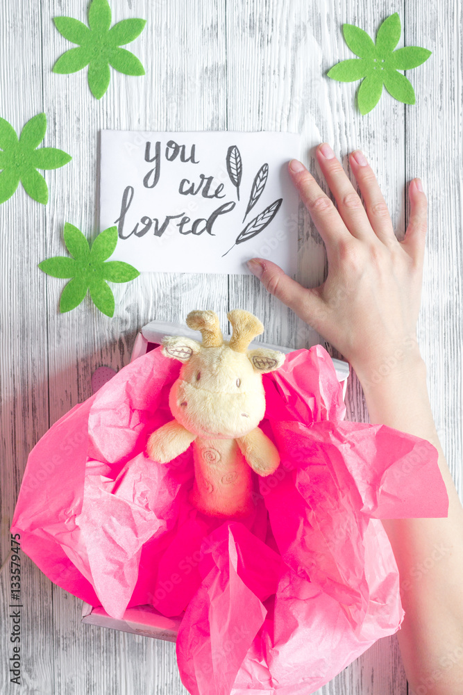 birth of girl - baby shower concept on wooden background