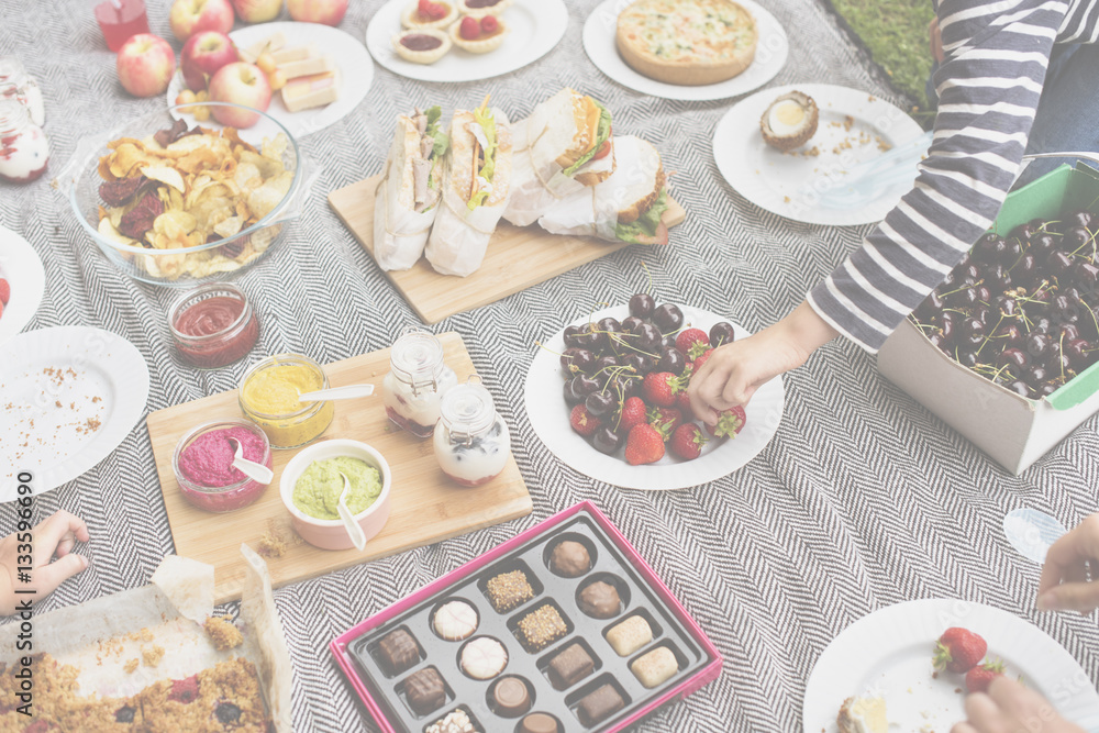 Picnic Lunch Meal Outdoors Park Food Concept