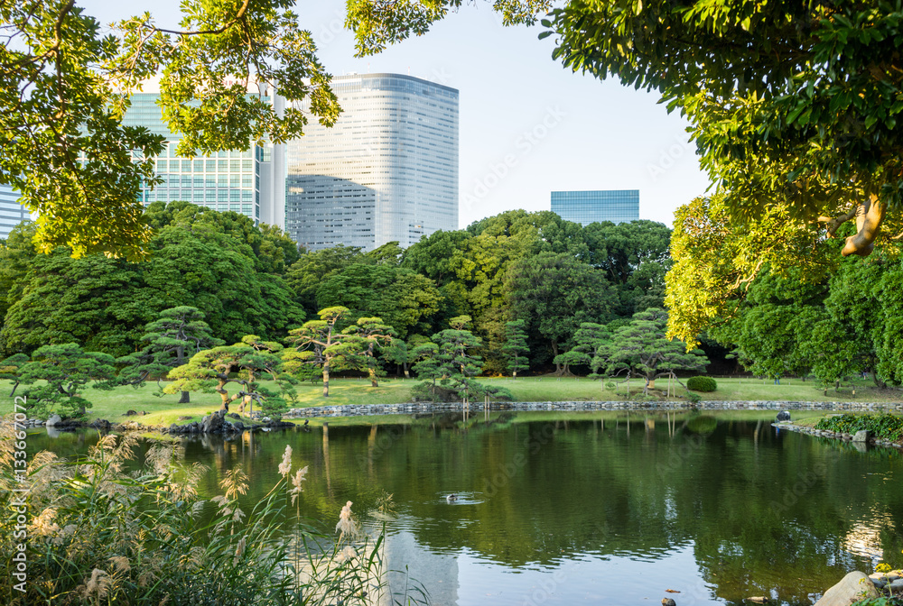 Hamarikyu Gardens