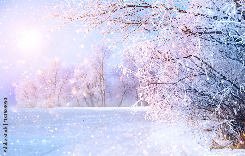 Beautiful winter landscape scene with snow covered trees and ice river