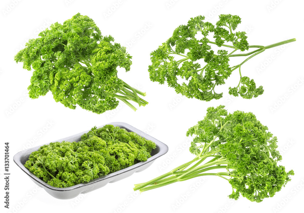 Parsley on white